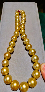 Eostre Deep Golden South Sea Pearl Necklace with Gold Clasp