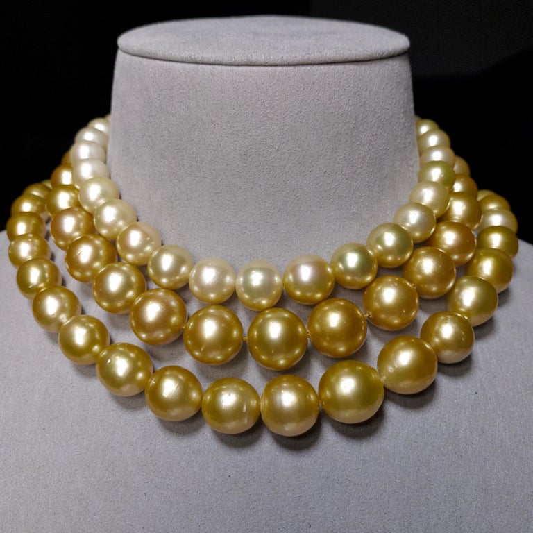 Eostre Deep Golden South Sea Pearl Necklace with Gold Clasp