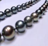 Multi Colour Green tone Tahitian Pearl Necklace with 18k Gold Clasp