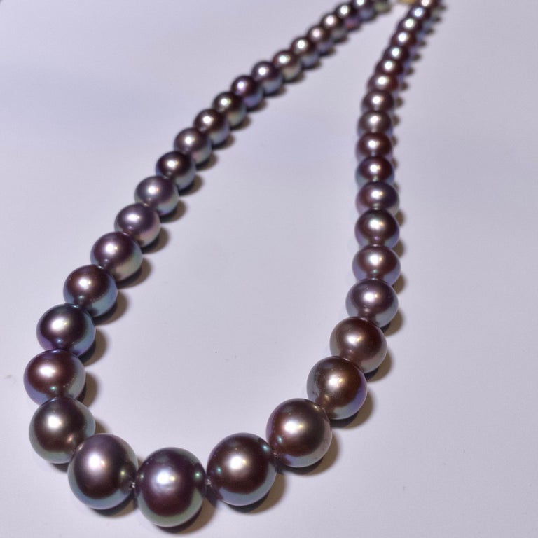 Lavender Colour Freshwater Pearl Necklace with 18k Gold Clasp