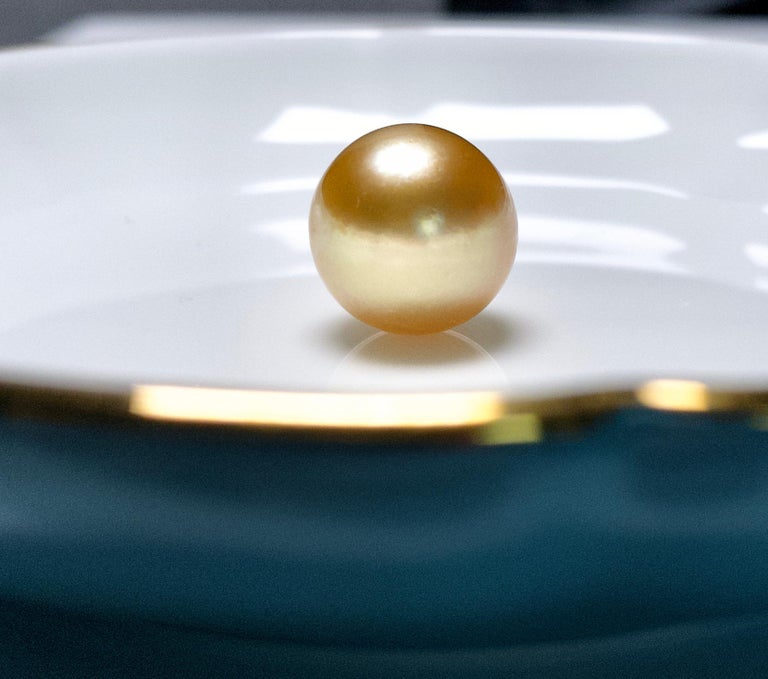 Loose Golden Colour South Sea Pearl