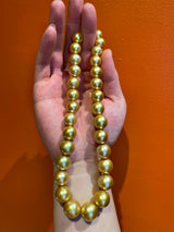 Eostre Deep Golden South Sea Pearl Necklace with Gold Clasp