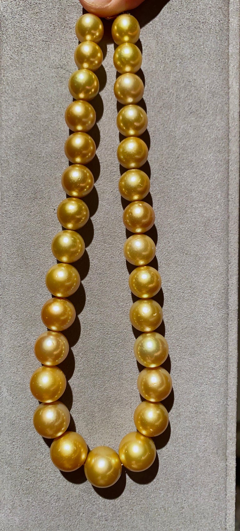 Eostre Deep Golden South Sea Pearl Necklace with Gold Clasp