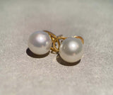 Classic South Sea Pearl Stud Earring in 18k Yellow Gold